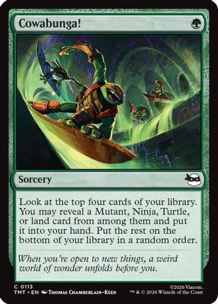Cowabunga! (113) [Teenage Mutant Ninja Turtles] - Deck Out Gaming