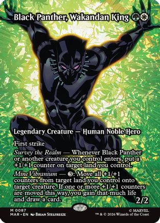 Black Panther, Wakandan King (Borderless) (87) [Marvel Universe Eternal-Legal] foil - Deck Out Gaming