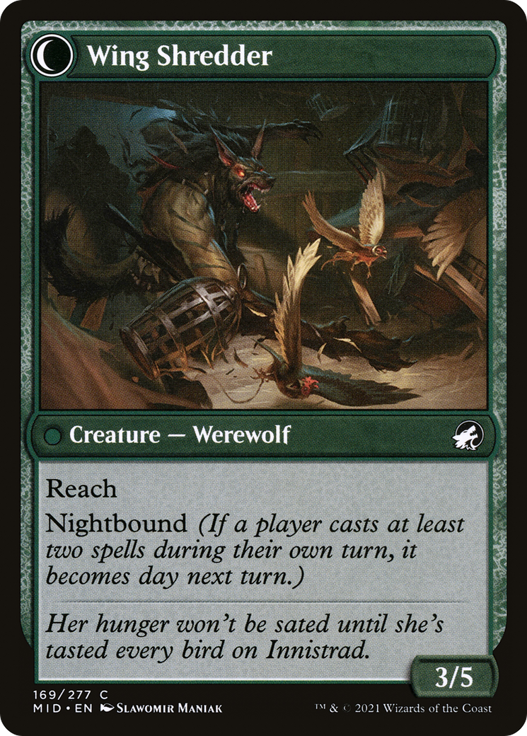 Bird Admirer (169) [Innistrad: Midnight Hunt] foil - Deck Out Gaming