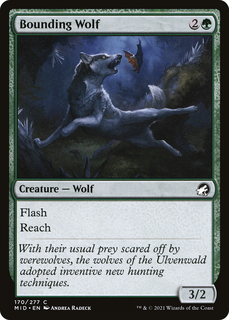 Bounding Wolf (170) [Innistrad: Midnight Hunt] - Deck Out Gaming