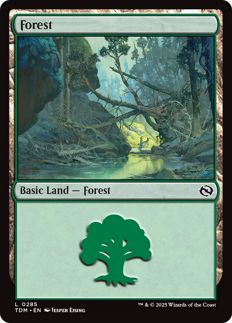 Forest (0285) (285) [Tarkir: Dragonstorm] foil - Deck Out Gaming
