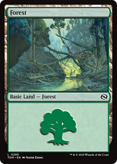 Forest (0285) (285) [Tarkir: Dragonstorm] - Deck Out Gaming