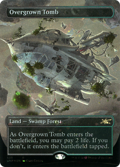 Overgrown Tomb (Borderless) (Galaxy Foil) (535) [Unfinity] foil - Deck Out Gaming
