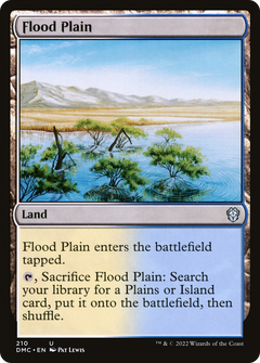 Flood Plain (210) [Commander: Dominaria United] - Deck Out Gaming
