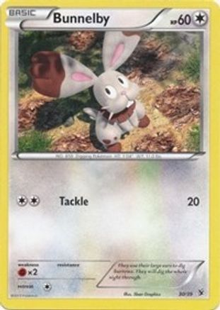 Bunnelby (30) [Kalos Starter Set] - Deck Out Gaming