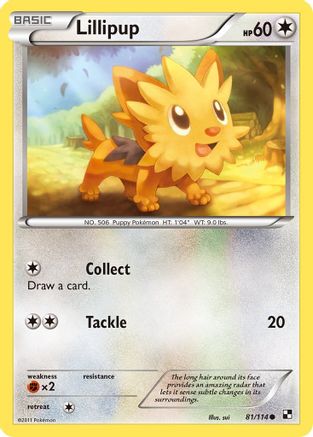 Lillipup (81) (81) [Black and White] Reverse Holofoil - Deck Out Gaming