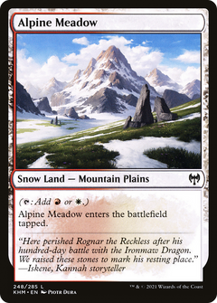 Alpine Meadow (248) [Kaldheim] - Deck Out Gaming