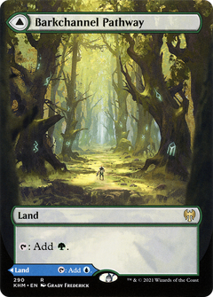 Barkchannel Pathway (Borderless) (290) [Kaldheim] foil - Deck Out Gaming