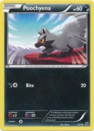 Poochyena (16) [Kalos Starter Set] - Deck Out Gaming