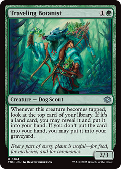 Traveling Botanist (164) [Tarkir: Dragonstorm] foil - Deck Out Gaming
