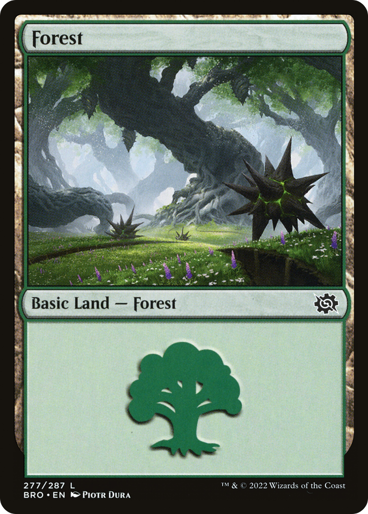 Forest (277) (277) [The Brothers' War] foil - Deck Out Gaming