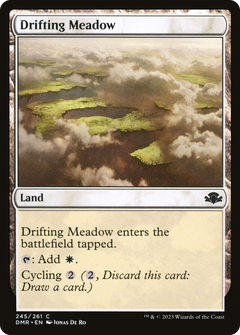 Drifting Meadow (245) [Dominaria Remastered] foil - Deck Out Gaming