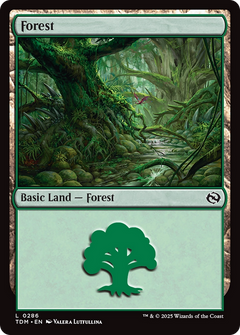 Forest (0286) (286) [Tarkir: Dragonstorm] - Deck Out Gaming