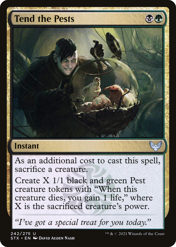 Tend the Pests (242) [Strixhaven: School of Mages] foil - Deck Out Gaming