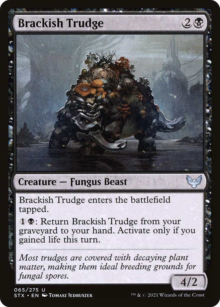 Brackish Trudge (65) [Strixhaven: School of Mages] foil - Deck Out Gaming