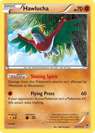 Hawlucha (63) [XY - Furious Fists] Holofoil - Deck Out Gaming