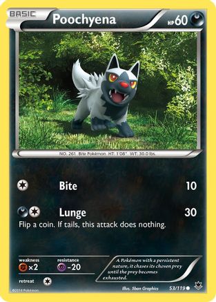 Poochyena (53) [XY - Phantom Forces] Reverse Holofoil - Deck Out Gaming