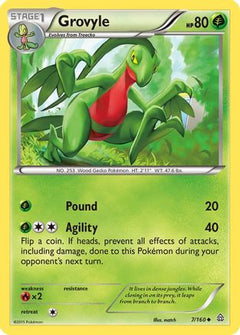 Grovyle (7) [XY - Primal Clash] Reverse Holofoil - Deck Out Gaming