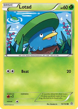Lotad (10) [XY - Primal Clash] Reverse Holofoil - Deck Out Gaming