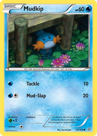 Mudkip (33) [XY - Primal Clash] - Deck Out Gaming