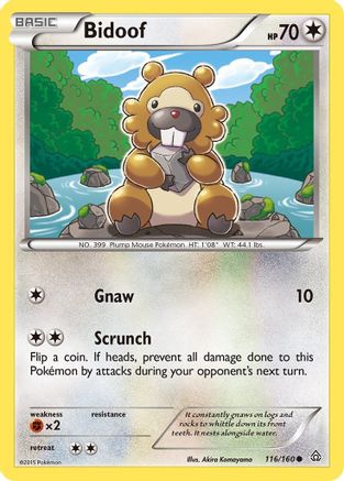 Bidoof (116) [XY - Primal Clash] Reverse Holofoil - Deck Out Gaming