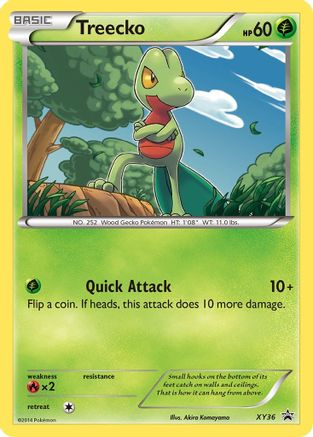 Treecko - XY36 (XY36) [XY Promos] Holofoil - Deck Out Gaming