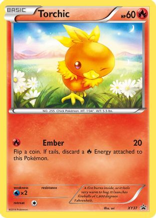 Torchic - XY37 (XY37) [XY Promos] Holofoil - Deck Out Gaming