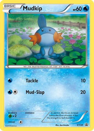 Mudkip - XY38 (XY38) [XY Promos] Holofoil - Deck Out Gaming