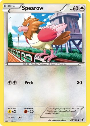 Spearow (65) [XY - Roaring Skies] Reverse Holofoil - Deck Out Gaming