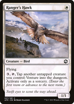 Ranger's Hawk (37) [Adventures in the Forgotten Realms] foil - Deck Out Gaming