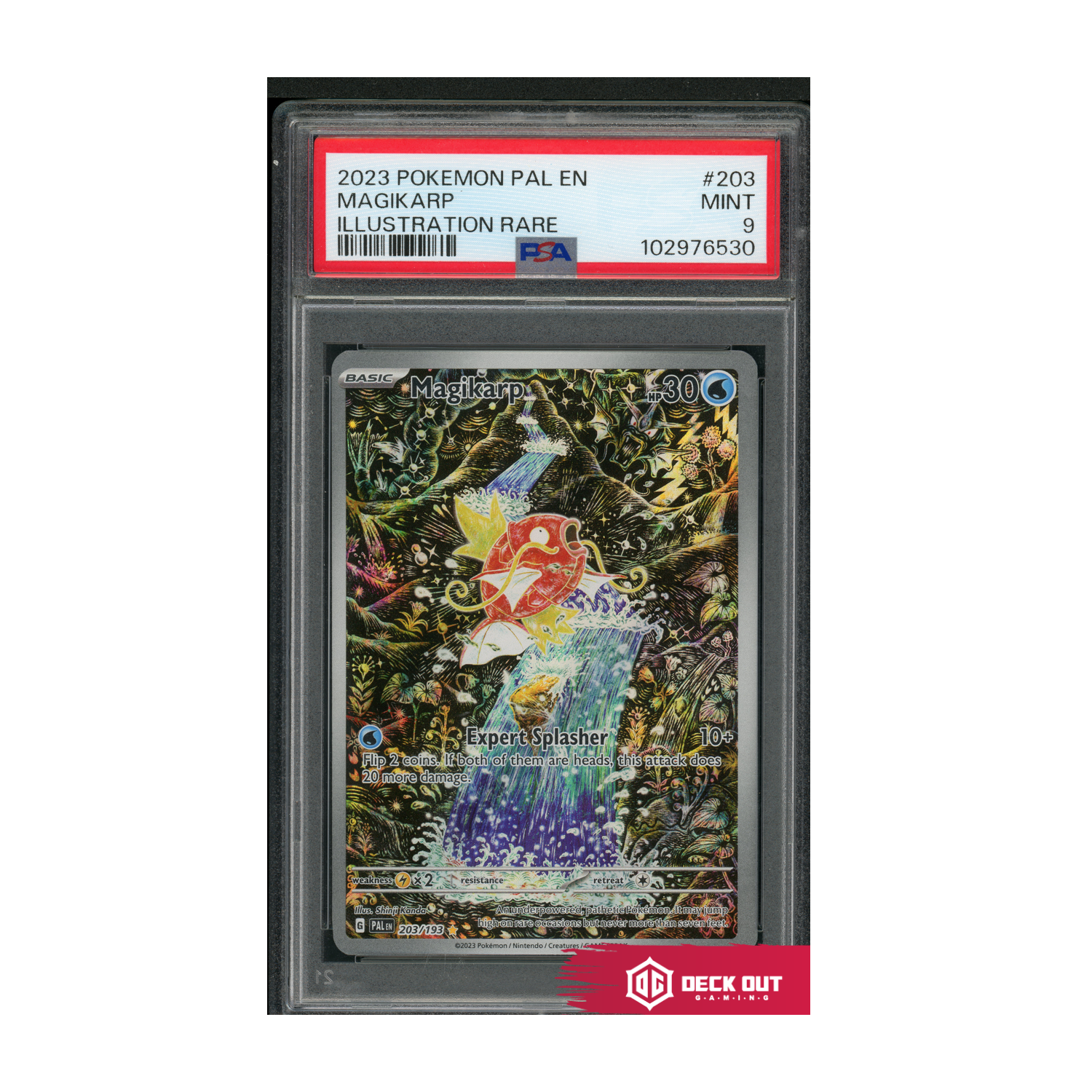Magikarp - Paldea Evolved - 203 - PSA 9 - 102976530 - Deck Out Gaming