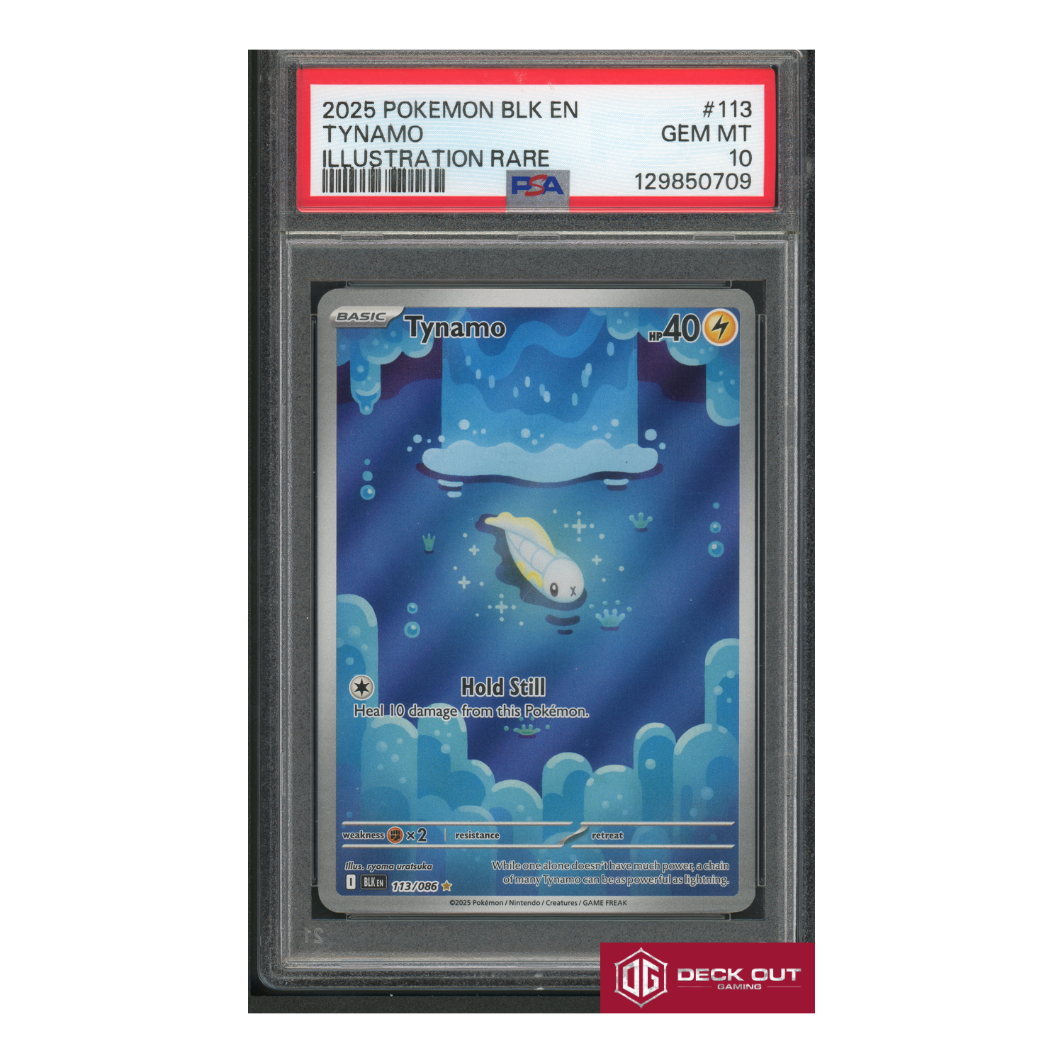 Tynamo - PSA 10 - 129850709 - Black Bolt - #13 - Deck Out Gaming