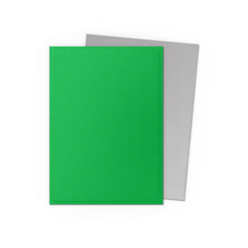 Dragon Shield Standard Size Dual Matte Sleeves - Apple Green & Silver - 100 Count - Deck Out Gaming