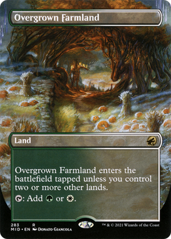 Overgrown Farmland (Borderless) (283) [Innistrad: Midnight Hunt] - Deck Out Gaming