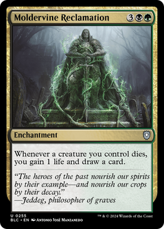 Moldervine Reclamation (255) [Bloomburrow Commander] - Deck Out Gaming
