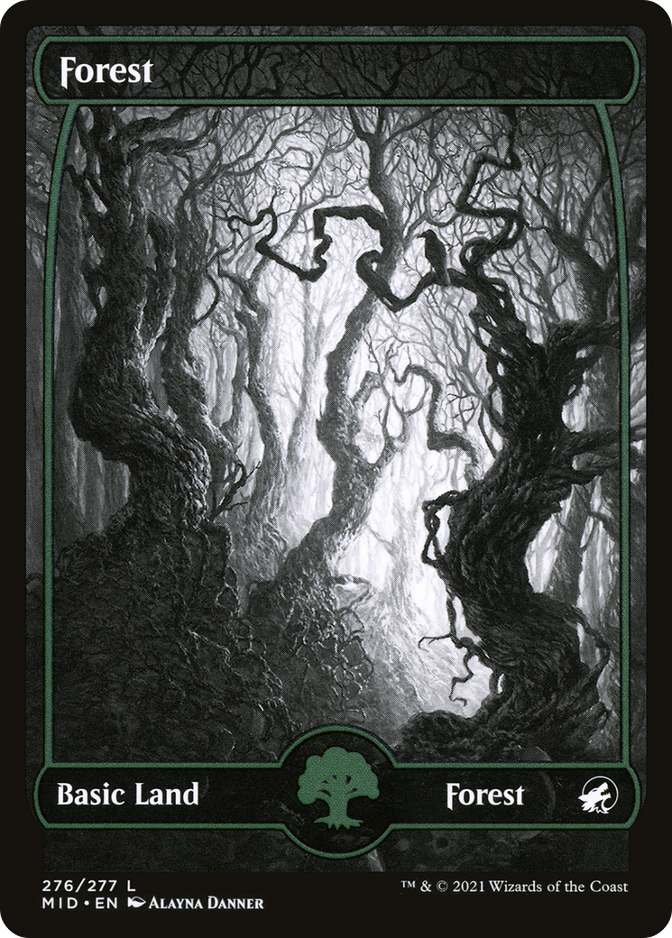 Forest (276) [Innistrad: Midnight Hunt] - Deck Out Gaming