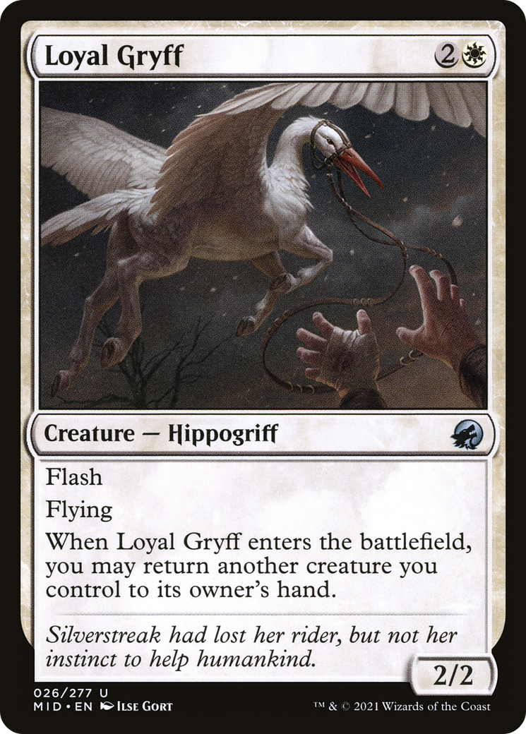 Loyal Gryff (26) [Innistrad: Midnight Hunt] - Deck Out Gaming