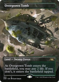 Overgrown Tomb (Borderless) (284) [Unfinity] foil - Deck Out Gaming