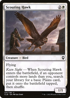 Scouting Hawk (41) [Commander Legends: Battle for Baldur's Gate] foil - Deck Out Gaming