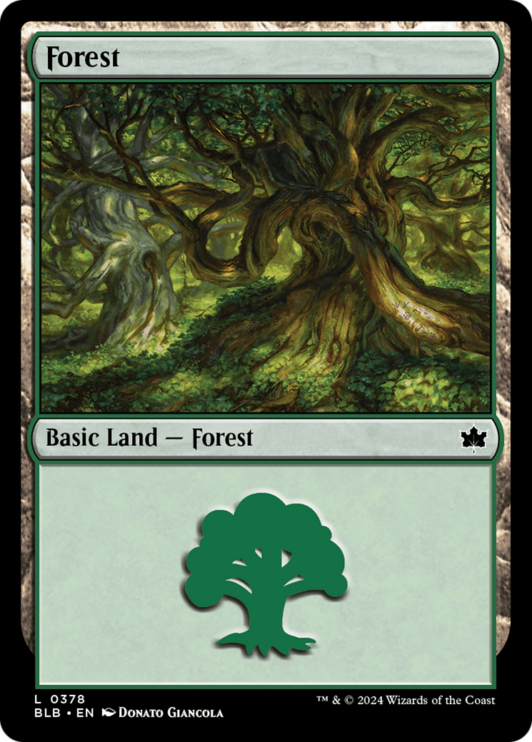 Forest (0378) (378) [Bloomburrow] - Deck Out Gaming