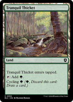Tranquil Thicket (350) [Bloomburrow Commander] - Deck Out Gaming