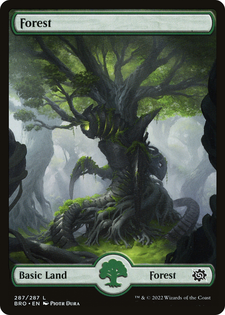 Forest (287) - Full Art (287) [The Brothers' War] foil - Deck Out Gaming