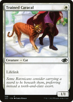 Trained Caracal (256) [Jumpstart 2022] - Deck Out Gaming