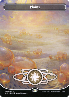 Plains (235) (Borderless) (235) [Unfinity] foil - Deck Out Gaming