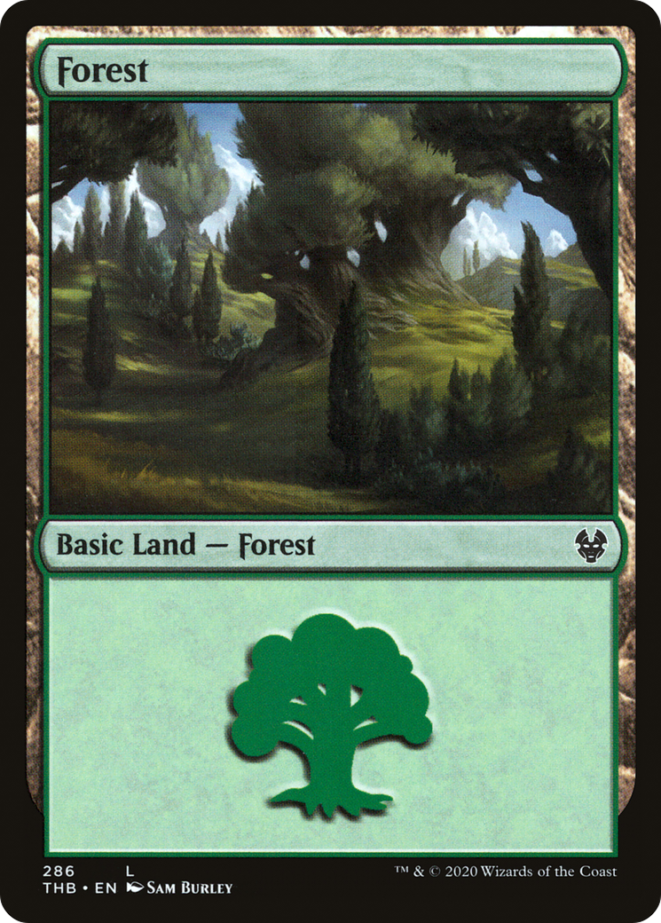Forest (286) (286) [Theros Beyond Death] - Deck Out Gaming
