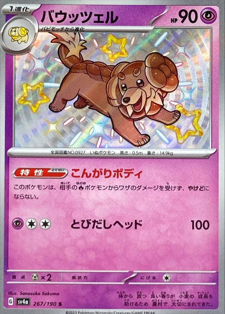 Dachsbun (267/190) [Shiny Treasure ex] - Deck Out Gaming