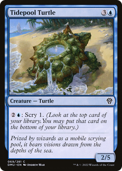 Tidepool Turtle (69) [Dominaria United] foil - Deck Out Gaming