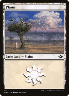 Plains (481) (481) [Modern Horizons 2] - Deck Out Gaming