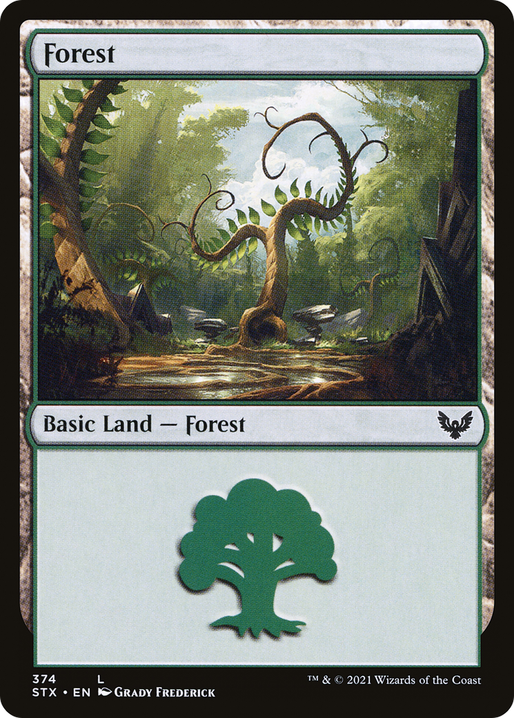 Forest (374) [Strixhaven: School of Mages] - Deck Out Gaming