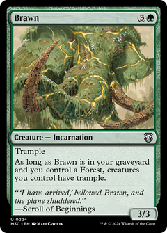 Brawn (224) [Modern Horizons 3 Commander] - Deck Out Gaming
